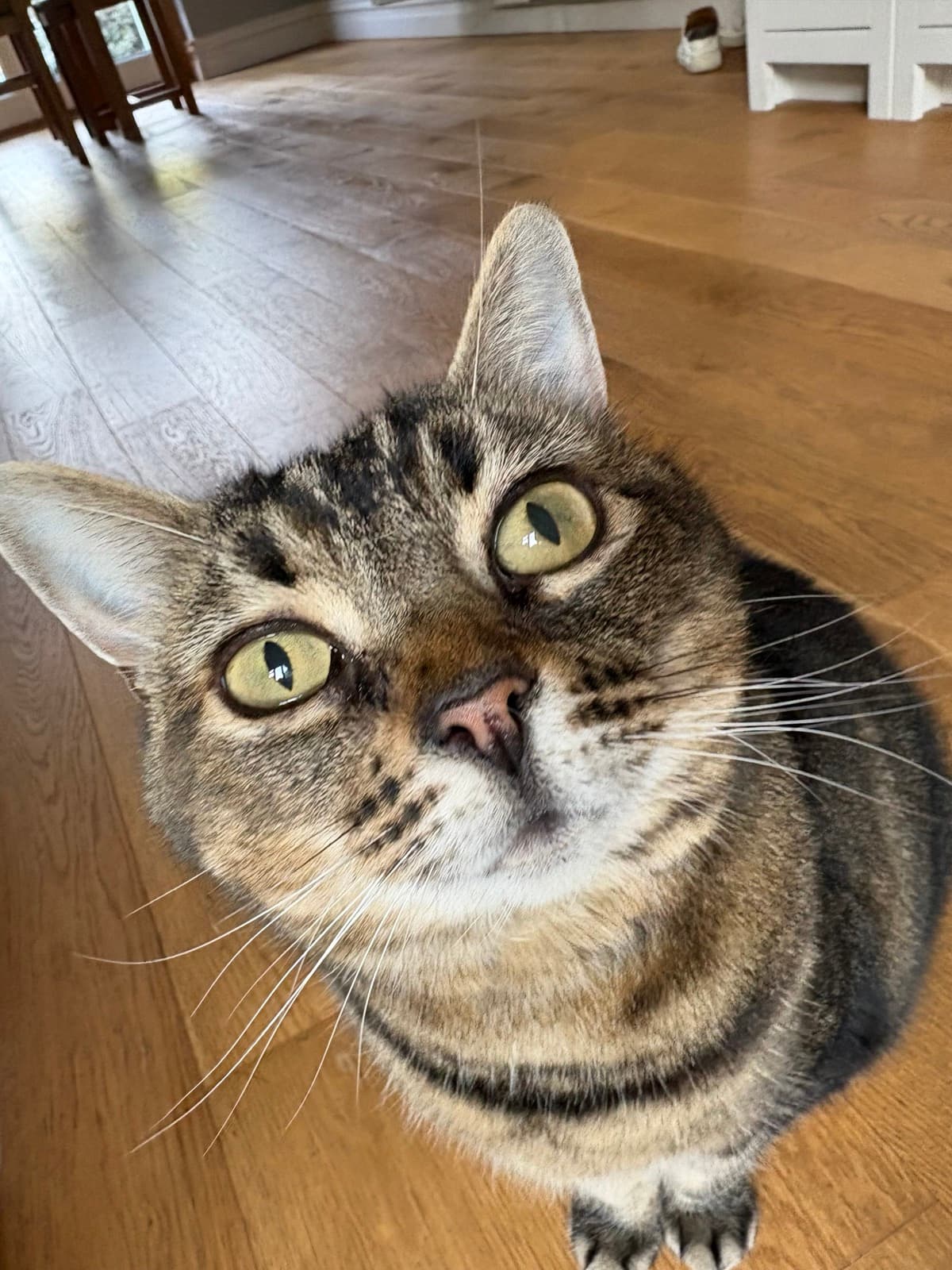 Tilly testimonal