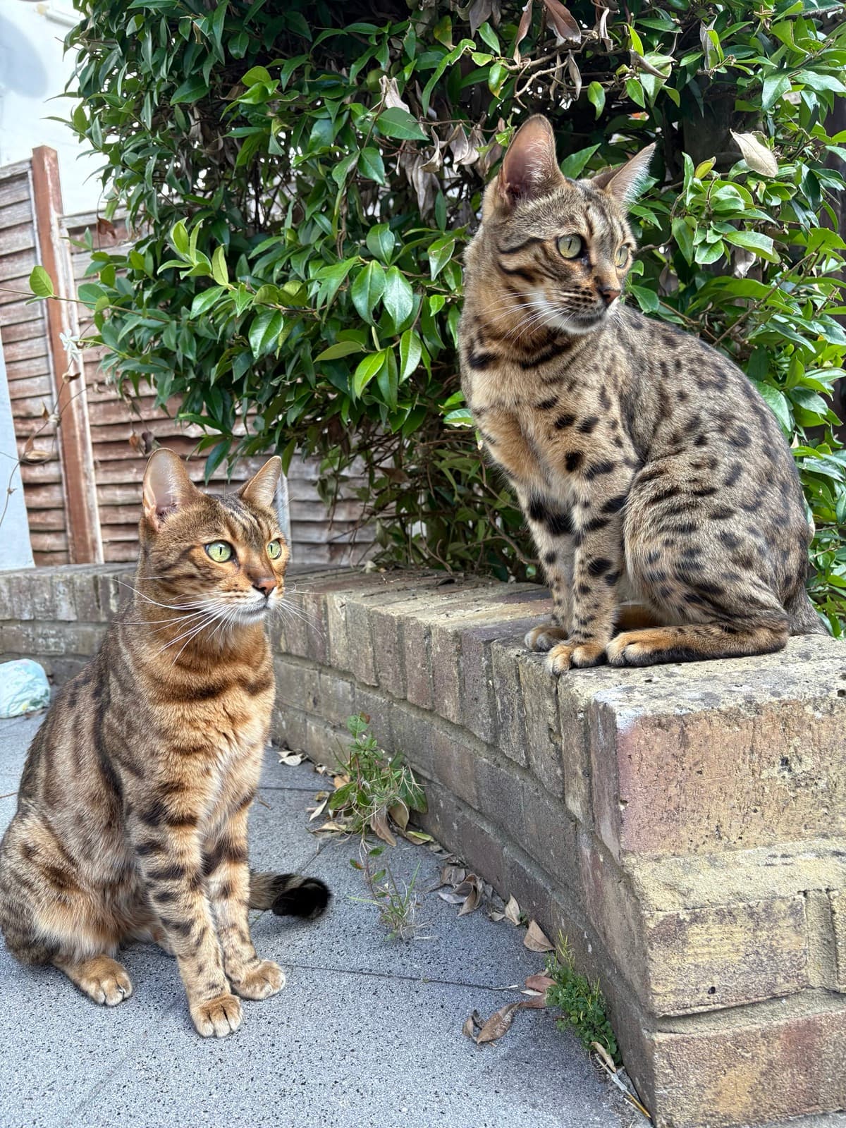 Billy & Bobby testimonal